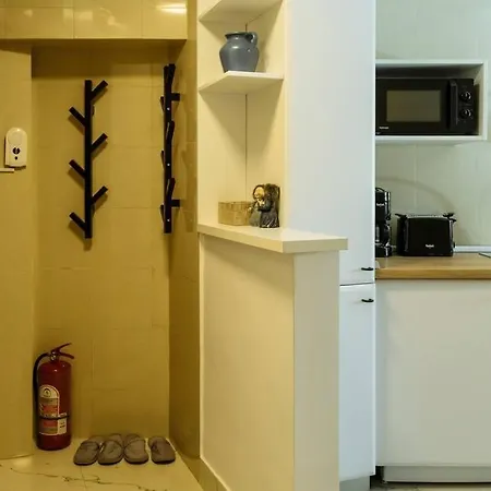 Apartment With Private Terrace Next To Cismigiu *