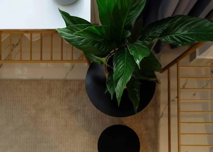 With Private Terrace Next To Cismigiu * Bukarest