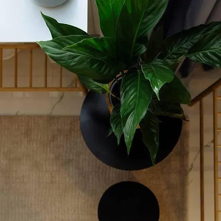 With Private Terrace Next To Cismigiu * 布加勒斯特